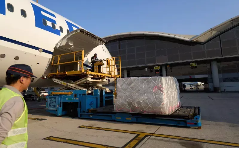 Gateway to fresh: How logistics hubs are evolving for cold chain logistics