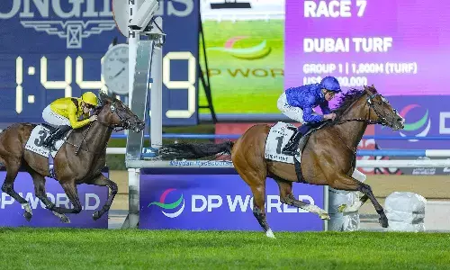 Despite conflicts and airspace curbs, equine cargo still moves