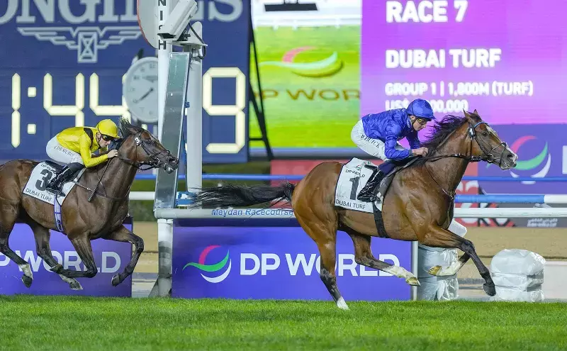 Despite conflicts and airspace curbs, equine cargo still moves