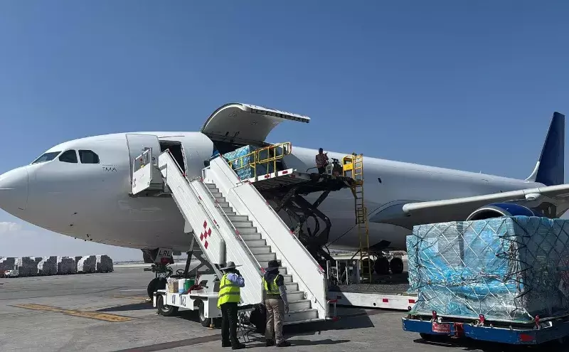 ACS transports 51 tonnes of food seasoning from Mexico to Nicaragua