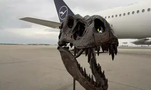 Lufthansa Cargo transports T-Rex skeletons from Munich to Beijing