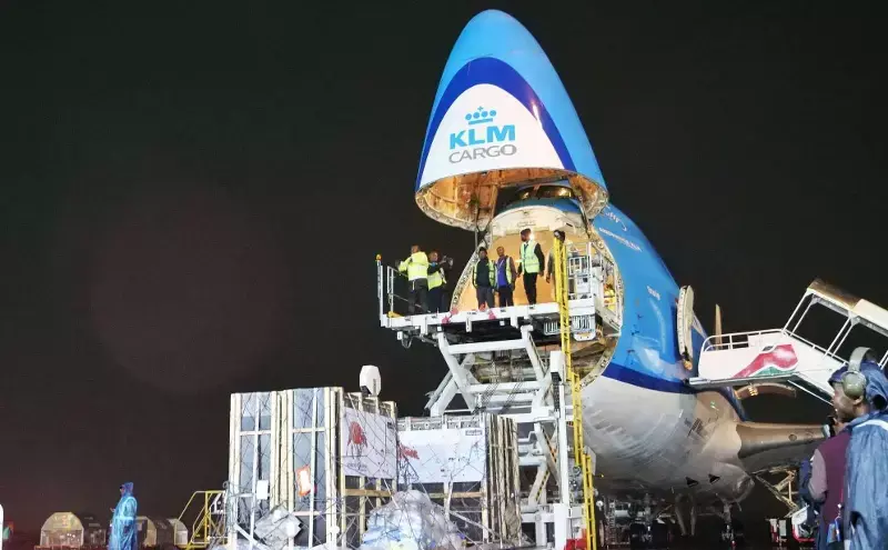 Kenya receives rare mountain bongos via JKIA conservation move