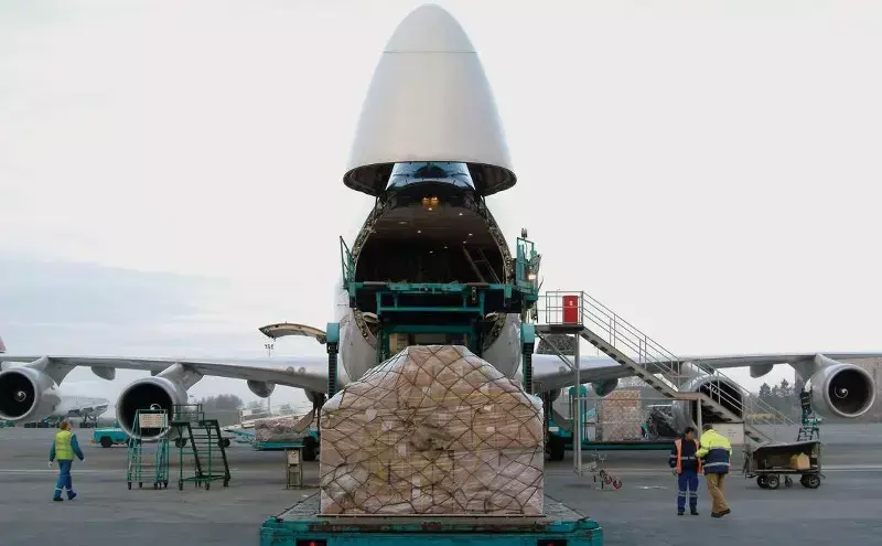 DP World secures IATA certification for Panama air freight operations DP World secures IATA certification for Panama air freight operations