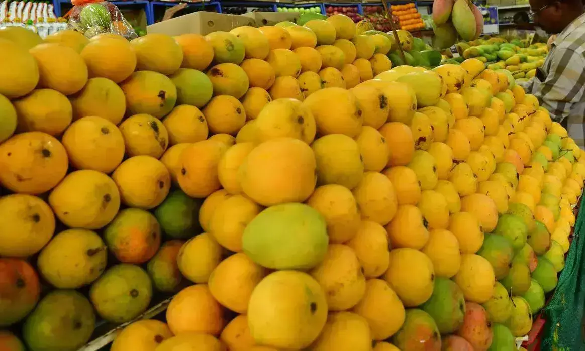 Air cargo disruptions weigh on India’s mango exports to US Air cargo disruptions weigh on India’s mango exports to US