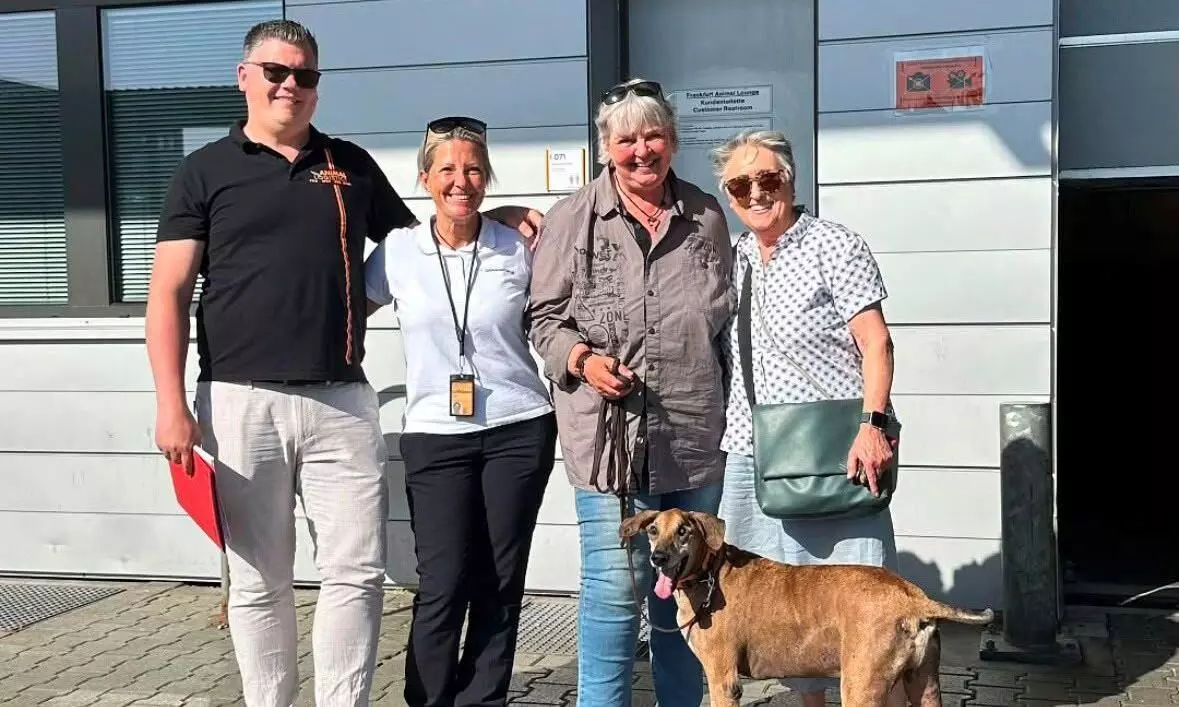 Lufthansa Cargo reunites blind dog with new family Lufthansa Cargo reunites blind dog with new family