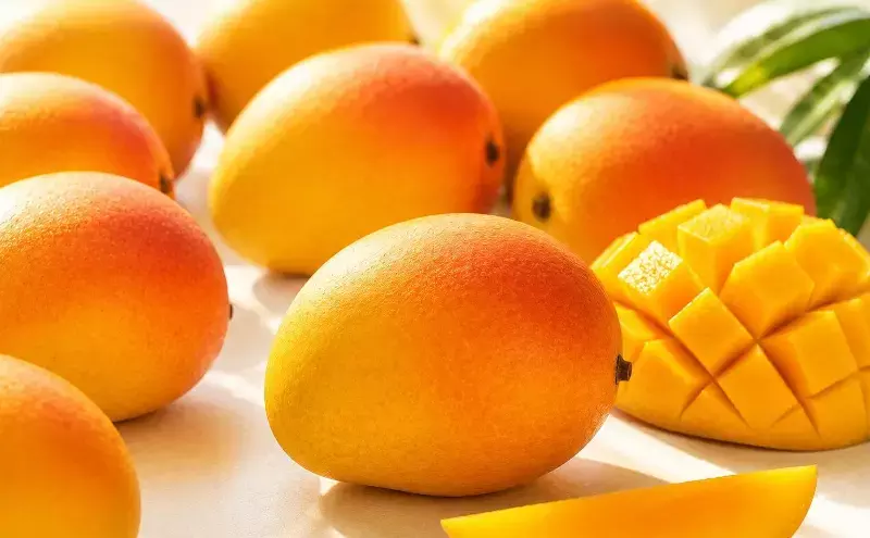 Air India flies 1,000 tonnes of mangoes during export season
