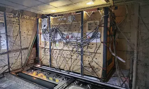 Cargolux transports six Asian bears to new home in Denmark