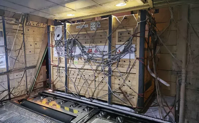 Cargolux transports six Asian bears to new home in Denmark
