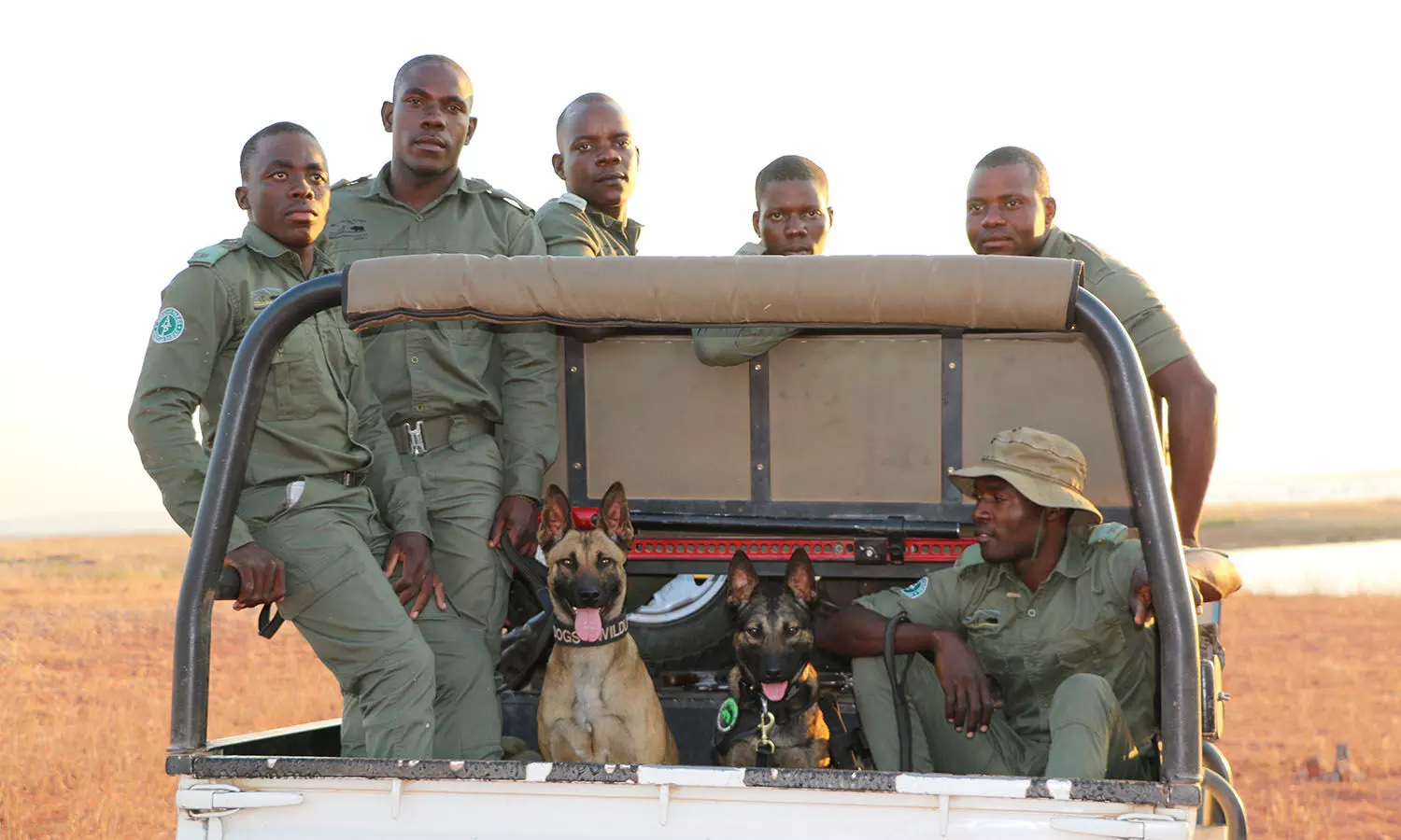 Emirates SkyCargo flies conservation K9 team to Zimbabwe Emirates SkyCargo flies conservation K9 team to Zimbabwe