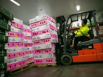 Approximately 80 tonnes of flowers per week will arrive at DFW Airport from Colombia and Ecuador in the three weeks before Valentine’s Day Air Cargo