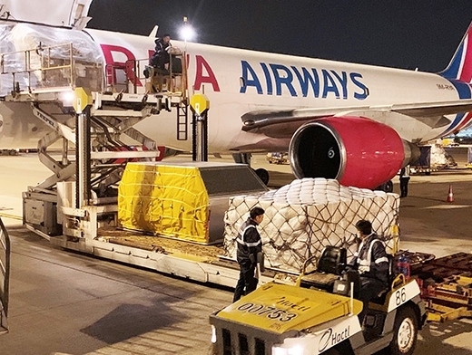 Raya Airways is designated as the national cargo airline of Malaysia  Air Cargo