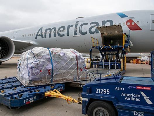 american air cargo pets