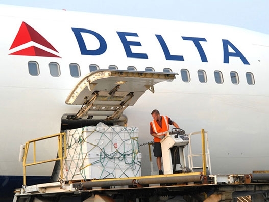 Delta Cargo moves all kinds of cargo in the belly hold of its passenger aircraft %u2013 be it perishables, temperature sensitive commodities, valuable cargo, dangerous goods, general cargo Air Cargo