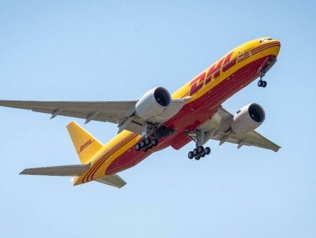 DHL successfully flies two Himalayan brown bears to Jordan DHL successfully flies two Himalayan brown bears to Jordan
