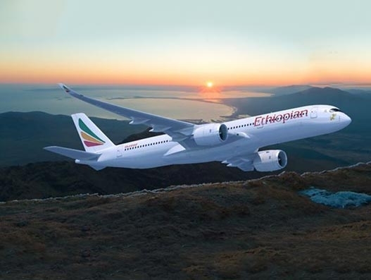 Currently, Ethiopian operates passenger flights to Mumbai and Delhi, as well as cargo service to Bengaluru, Ahmedabad, Chennai, Mumbai and New Delhi. Aviation