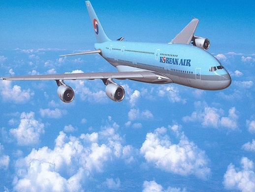 Korean Air is Korea's flag carrier that provides both passenger and cargo services Aviation
