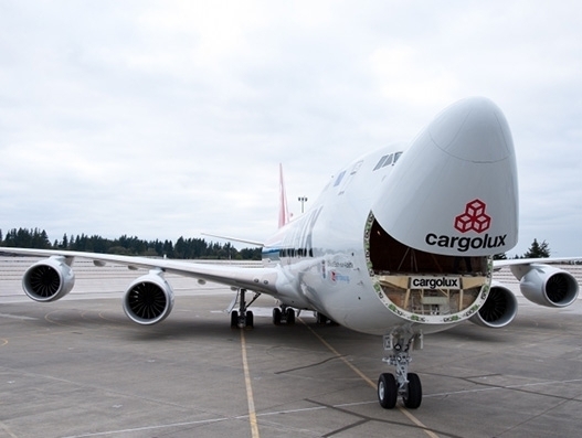 Cargolux bans lion bone transport