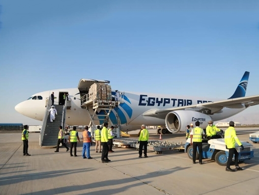 40 tonnes of live honey bee land at Ras Al Khaimah Airport 40 tonnes of live honey bee land at Ras Al Khaimah Airport