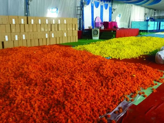 41,444 kgs of marigolds sent from Bengaluru airport to Dubai make Guinness record 41,444 kgs of marigolds sent from Bengaluru airport to Dubai make Guinness record