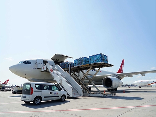 Turkish Cargo putting freshly-picked Turkish cherries on Norwegian dinner tables