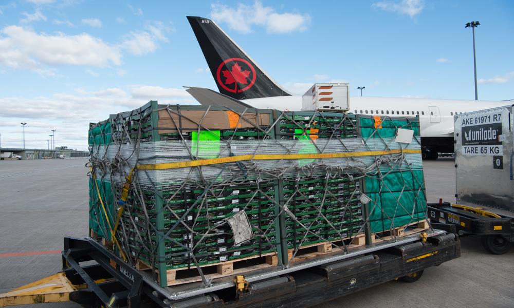 Air Canada Cargo announces launch routes for newly converted freighter aircraft