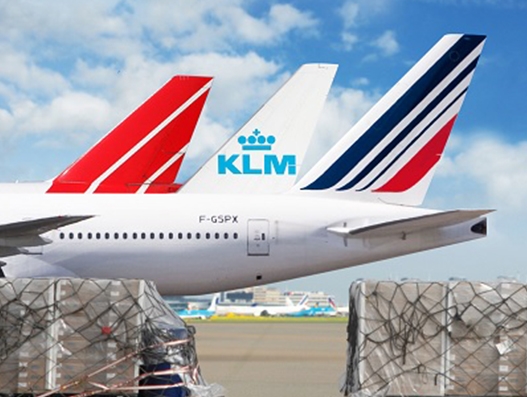 Air France KLM Martinair Cargo to kick off its summer schedule from March 25 Air France KLM Martinair Cargo to kick off its summer schedule from March 25