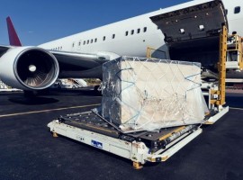 Air cargo volumes remain stable in January: WorldACD
