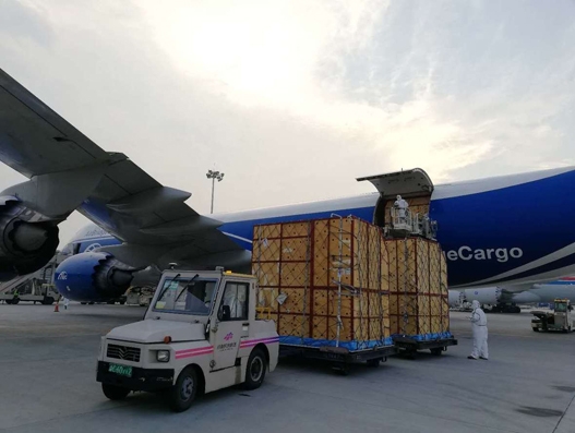 ABC gives 66 giraffes a lift from Johannesburg to Zhengzhou