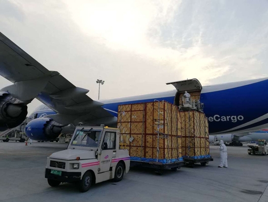 ABC gives 66 giraffes a lift from Johannesburg to Zhengzhou ABC gives 66 giraffes a lift from Johannesburg to Zhengzhou
