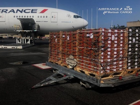 SIIM and Air France KLM bring West African mangoes to EU