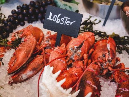 Lobster air freight volumes rise at Auckland Airport