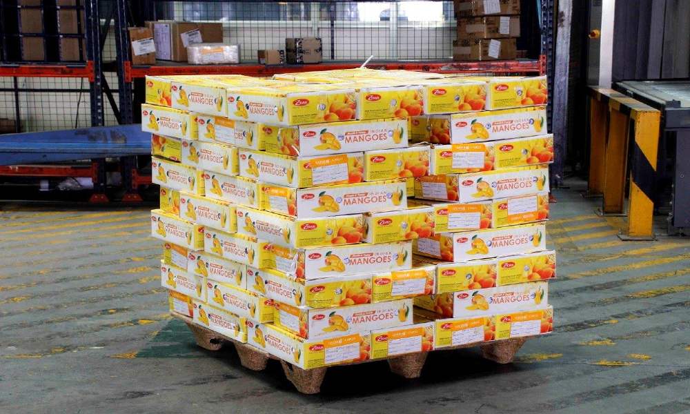 Bengaluru Airport exports highest number of mangoes in June Bengaluru Airport exports highest number of mangoes in June