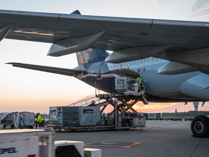 Brussels Airport Company grants licences for five restricted ground handling operations Brussels Airport Company grants licences for five restricted ground handling operations