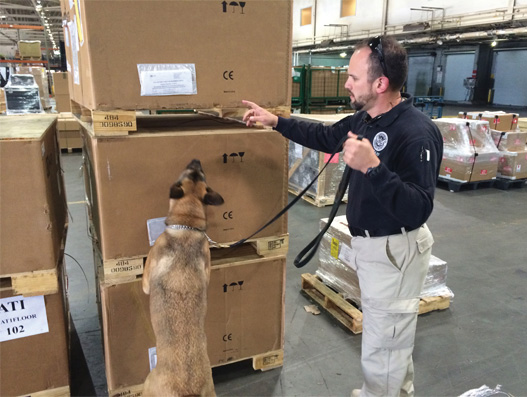 FROM MAGAZINE: Keeping a watchful eye on air cargo security