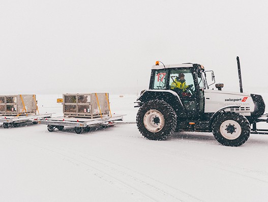 Swissport handles arrival of two Chinese Pandas at Helsinki-Vantaa airport