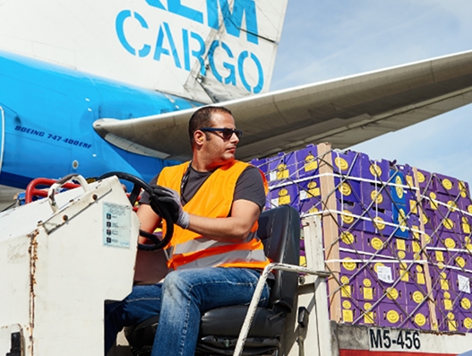 Schiphol links critical flower shipment data to Air Waybills