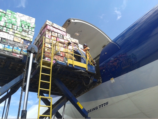 LATAM Cargo transports over 9,000 tonnes of flowers for Valentine’s Day