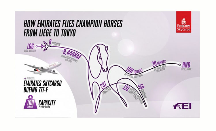 Emirates SkyCargo operates eight special charter flights for 247 horses Emirates SkyCargo operates eight special charter flights for 247 horses