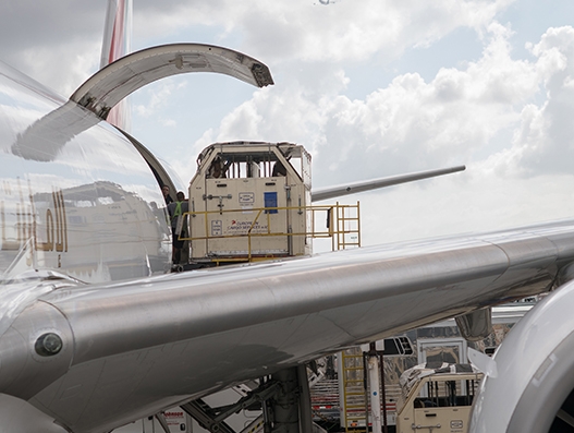 IATA outlines plan for transportation of live animals by air IATA outlines plan for transportation of live animals by air