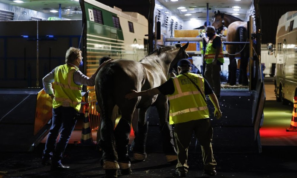 Equine champions fly to Liege Airport on Emirates SkyCargo