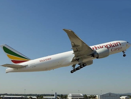 Ethiopian Airlines adds Miami to its freighter network Ethiopian Airlines adds Miami to its freighter network