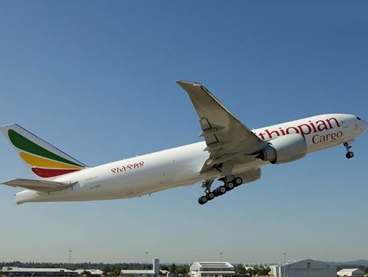 Ethiopian Airlines adds Miami to its freighter network