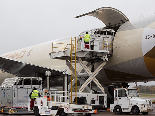 Etihad Cargo ships 51 horses from Belgium to the show jumping event in Hong Kong