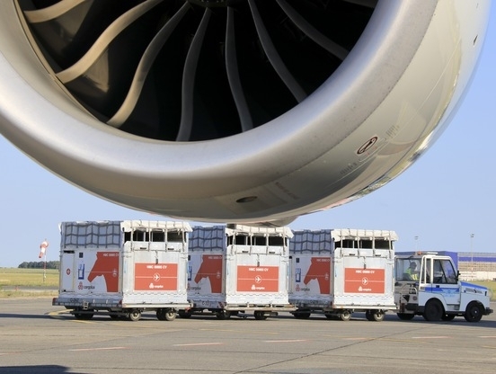 Flying horses spotted at Budapest Airport