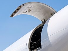 Slow start for air cargo peak season fails to bring cheer: IATA Slow start for air cargo peak season fails to bring cheer: IATA