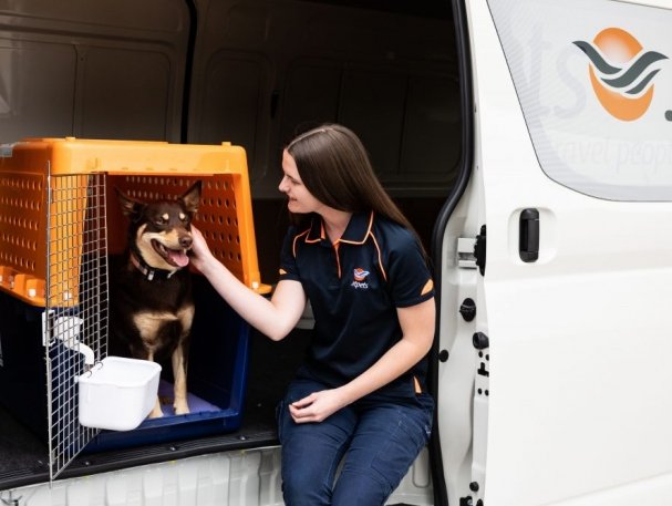 IATA certifies Australias Jetpets with CEIV for live animals