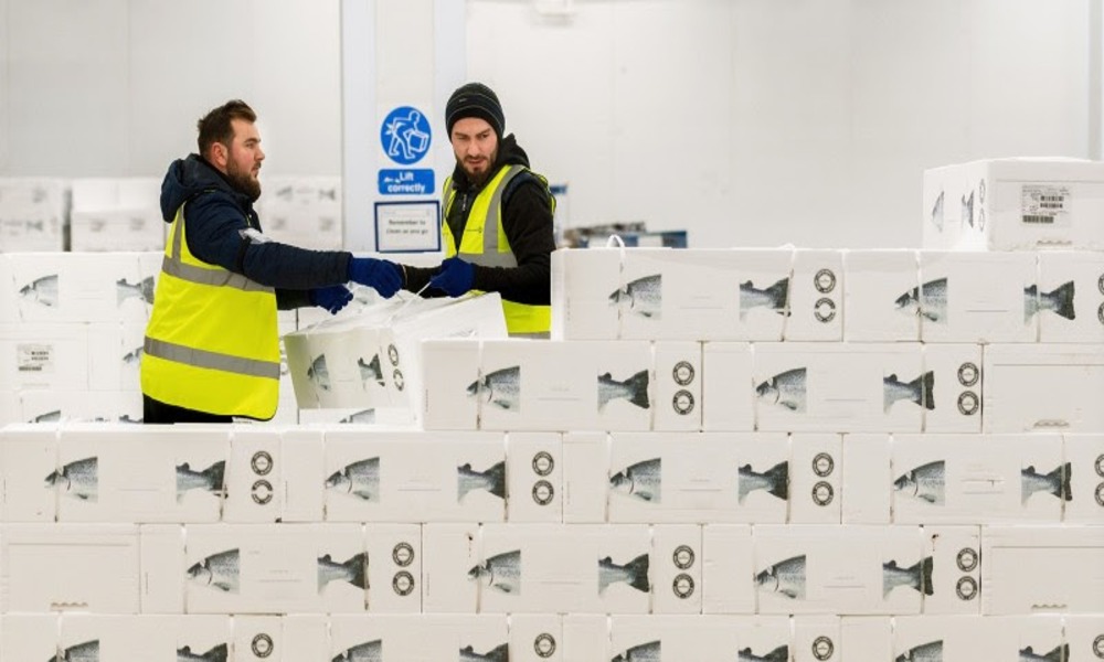 Kuehne Nagel acquires Salmosped; expands perishable network Kuehne Nagel acquires Salmosped; expands perishable network