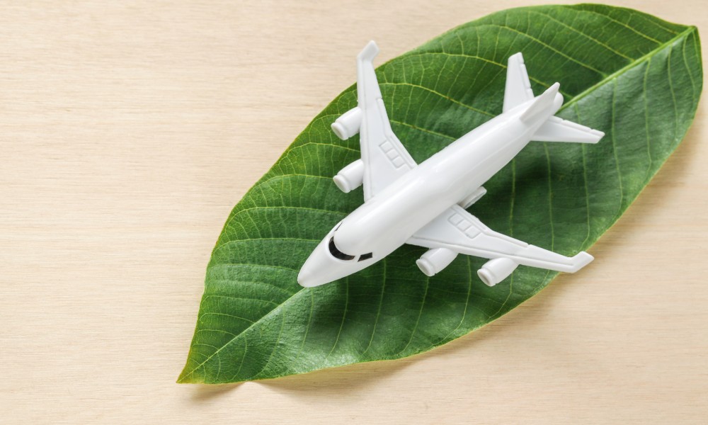 2021- a year of big-ticket moves for sustainability in aviation