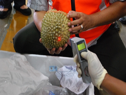 Maskargo flies frozen whole durians to China