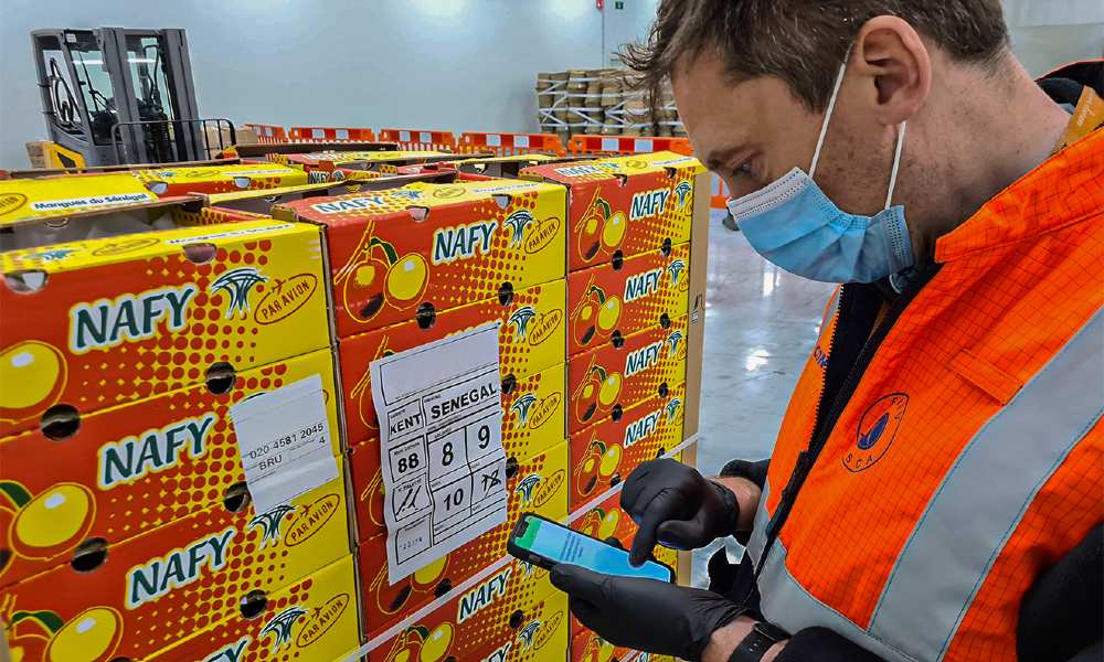 Brussels Airport opens two new border inspection posts for perishables goods Brussels Airport opens two new border inspection posts for perishables goods